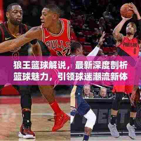 狼王篮球解说，最新深度剖析篮球魅力，引领球迷潮流新体验