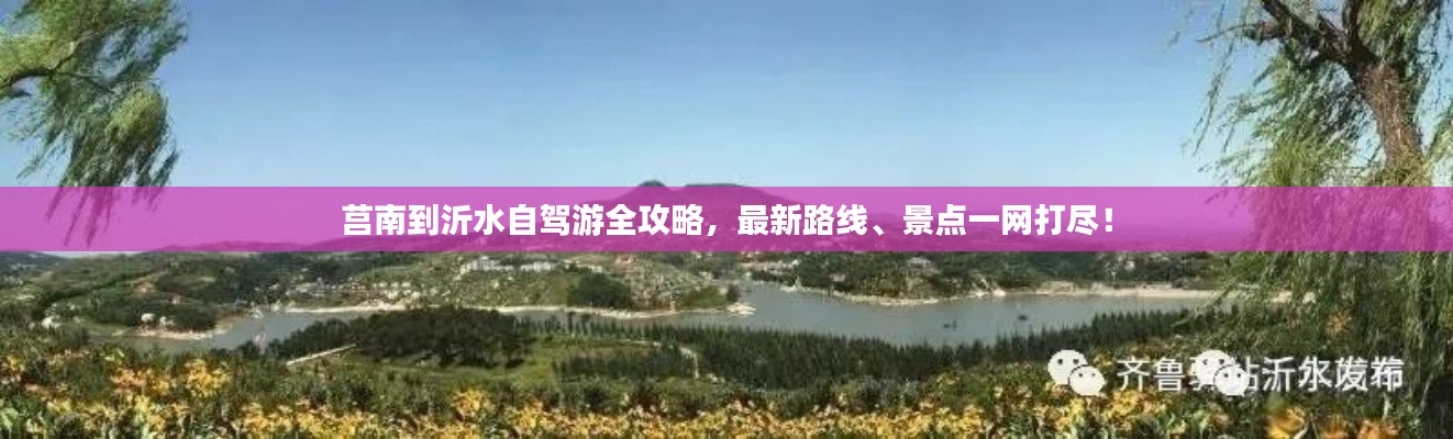 莒南到沂水自驾游全攻略，最新路线、景点一网打尽！