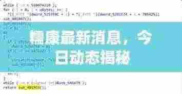 糯康最新消息，今日动态揭秘