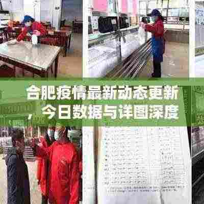 合肥疫情最新动态更新，今日数据与详图深度解析