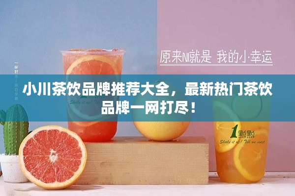 小川茶饮品牌推荐大全，最新热门茶饮品牌一网打尽！