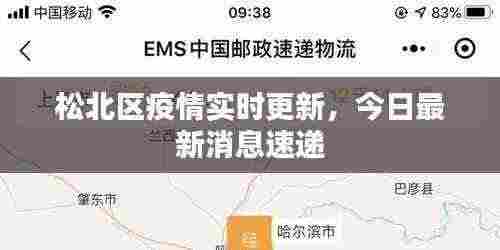 松北区疫情实时更新，今日最新消息速递