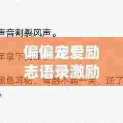 偏偏宠爱励志语录激励人心