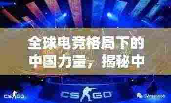 一张一弛 第3页