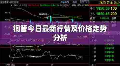 举世无双 第4页