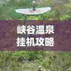 峡谷温泉挂机攻略大全，最新指南助你轻松享受温泉之旅！