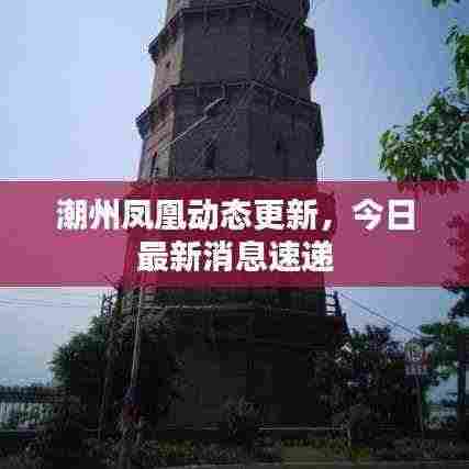 潮州凤凰动态更新，今日最新消息速递