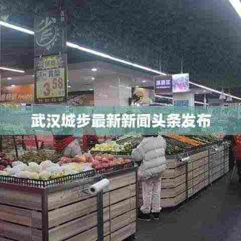 武汉城步最新新闻头条发布