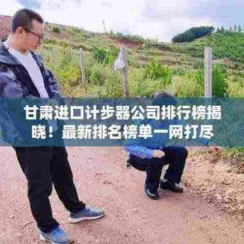 甘肃进口计步器公司排行榜揭晓！最新排名榜单一网打尽