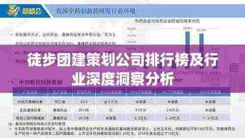 徒步团建策划公司排行榜及行业深度洞察分析