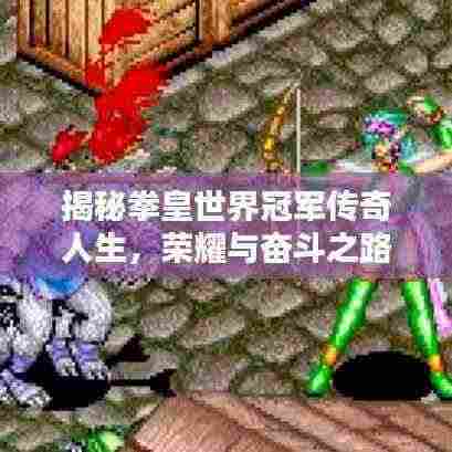 揭秘拳皇世界冠军传奇人生，荣耀与奋斗之路的独家记录