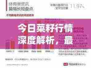 今日菜籽行情深度解析，最新走势及市场洞察