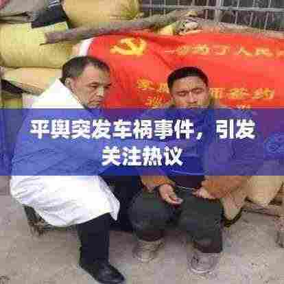 平舆突发车祸事件，引发关注热议