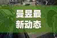 打马虎眼 第3页