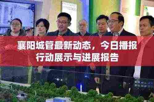 襄阳城管最新动态，今日播报行动展示与进展报告