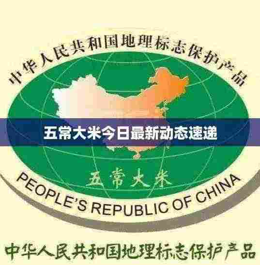 五常大米今日最新动态速递