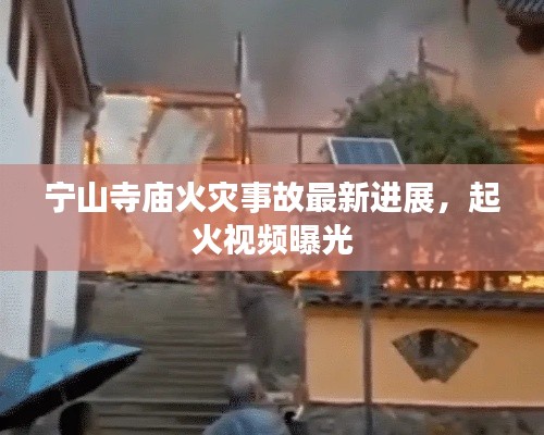 举步如飞 第3页