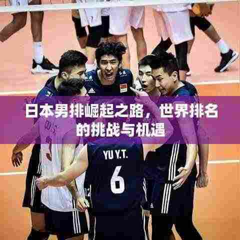日本男排崛起之路，世界排名的挑战与机遇