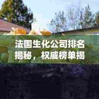 法国生化公司排名揭秘，权威榜单揭晓，引领行业发展！