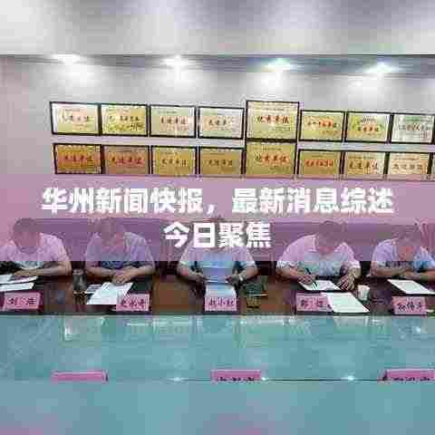 华州新闻快报，最新消息综述今日聚焦