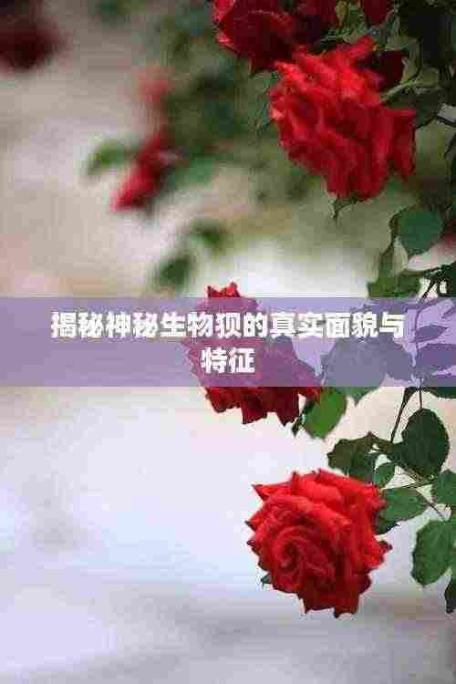 张牙舞爪 第3页