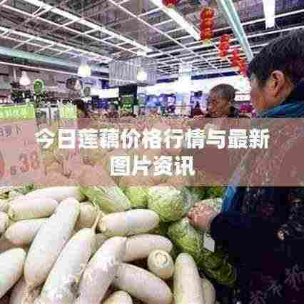 善始善终 第3页