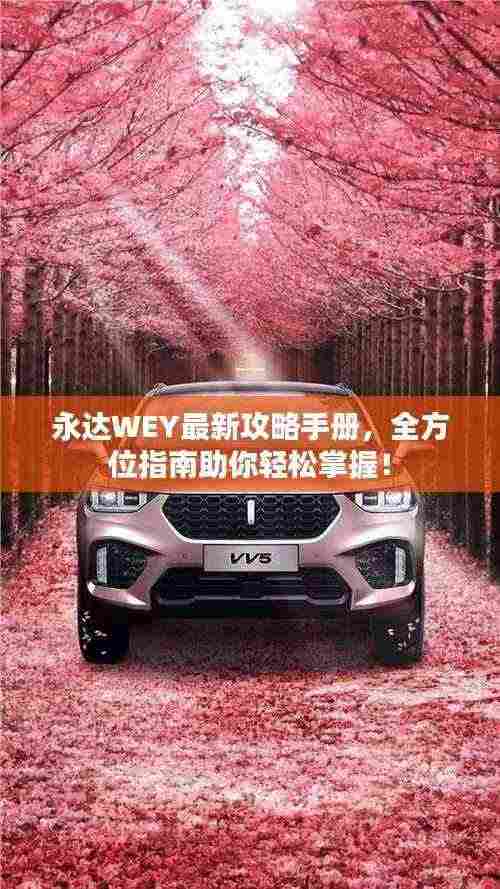 永达WEY最新攻略手册，全方位指南助你轻松掌握！