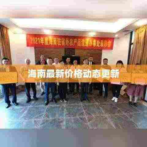 海南最新价格动态更新
