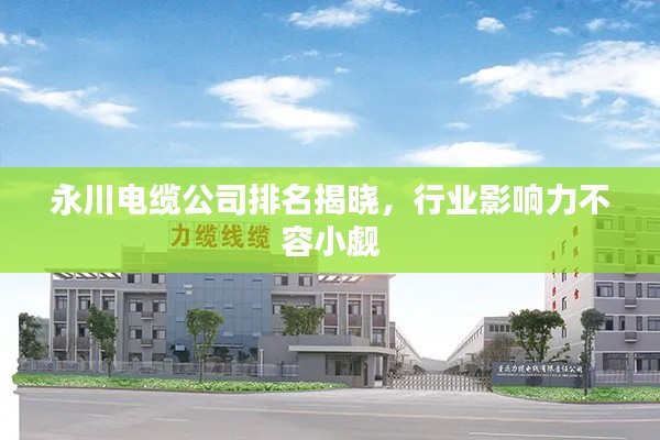 永川电缆公司排名揭晓，行业影响力不容小觑