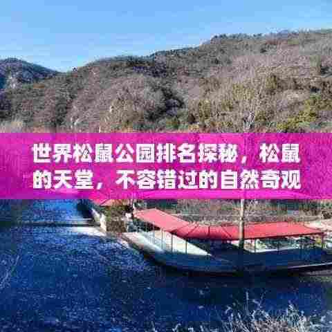 世界松鼠公园排名探秘，松鼠的天堂，不容错过的自然奇观！