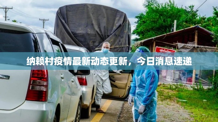 纳赖村疫情最新动态更新，今日消息速递