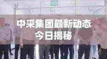 龙飞凤舞 第3页