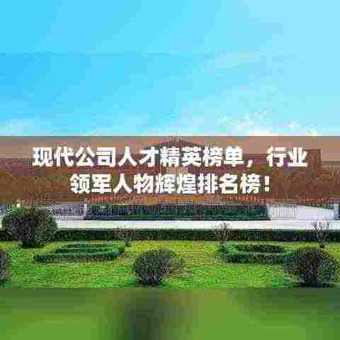现代公司人才精英榜单，行业领军人物辉煌排名榜！