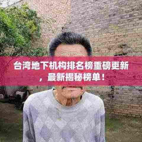 台湾地下机构排名榜重磅更新，最新揭秘榜单！