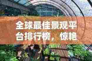 全球最佳景观平台排行榜，惊艳你的眼球！