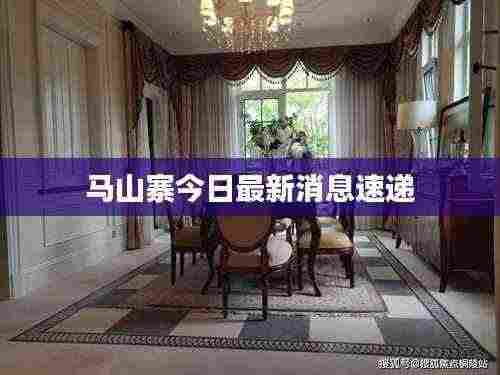 马山寨今日最新消息速递