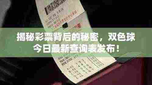揭秘彩票背后的秘密，双色球今日最新查询表发布！