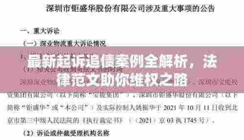 最新起诉追债案例全解析，法律范文助你维权之路
