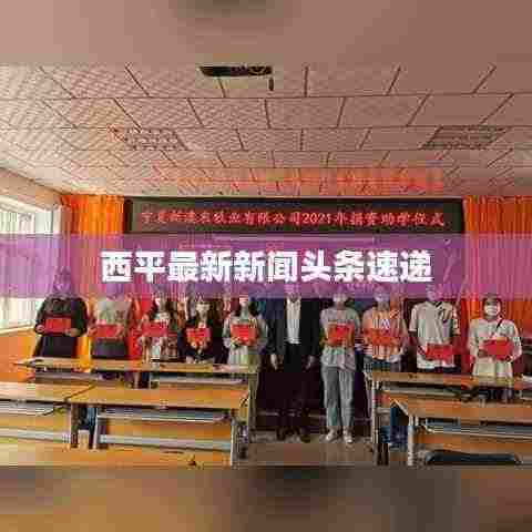 西平最新新闻头条速递