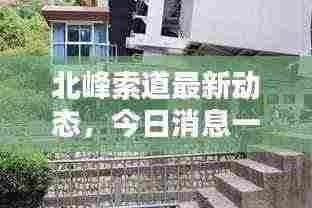 北峰索道最新动态，今日消息一网打尽！
