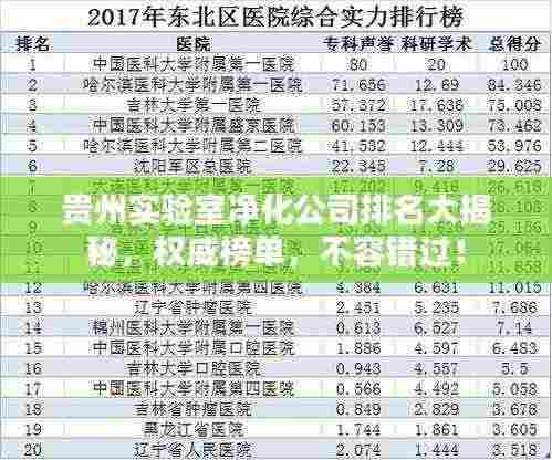贵州实验室净化公司排名大揭秘，权威榜单，不容错过！
