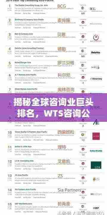 揭秘全球咨询业巨头排名，WTS咨询公司位列前茅