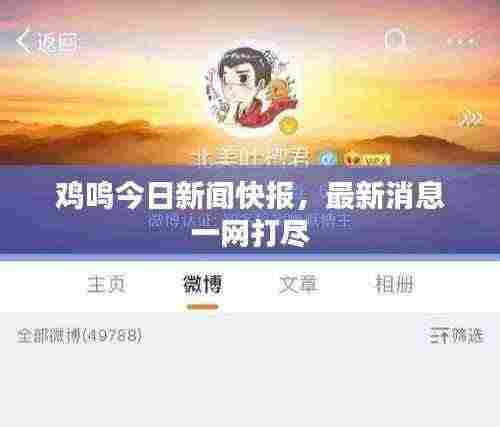 鸡鸣今日新闻快报，最新消息一网打尽