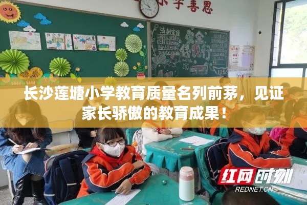 长沙莲塘小学教育质量名列前茅，见证家长骄傲的教育成果！