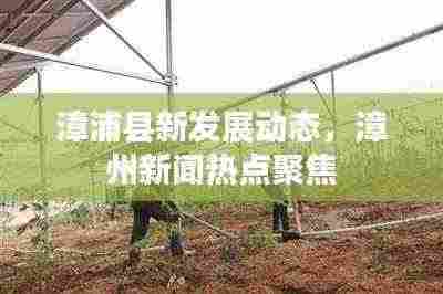 漳浦县新发展动态，漳州新闻热点聚焦