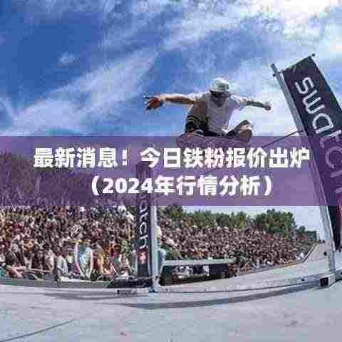 最新消息！今日铁粉报价出炉（2024年行情分析）