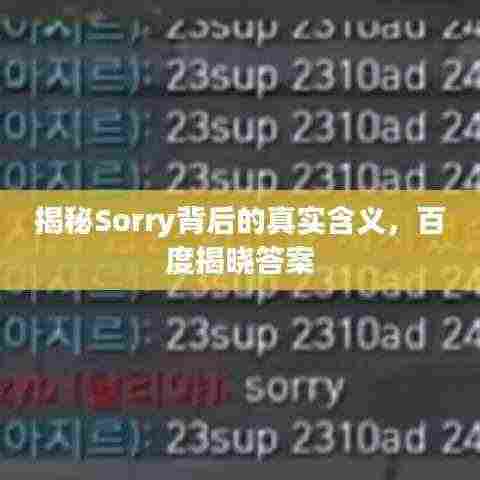 揭秘Sorry背后的真实含义，百度揭晓答案