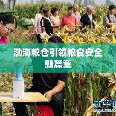 渤海粮仓引领粮食安全新篇章