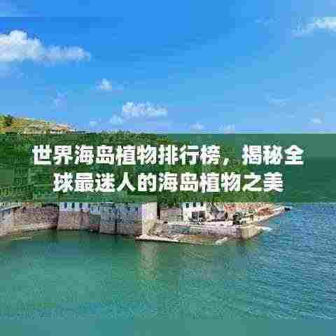 世界海岛植物排行榜，揭秘全球最迷人的海岛植物之美