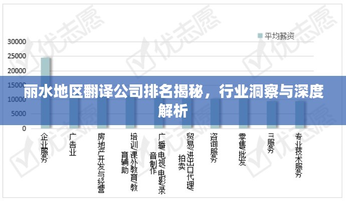 丽水地区翻译公司排名揭秘，行业洞察与深度解析